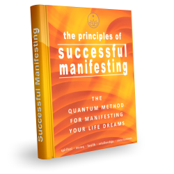 book cover - Manifesting Principles eBook