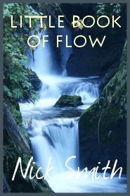 The Little Book Of Flow