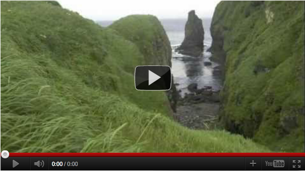 Long Handled Spoon Video